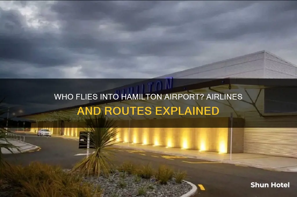 who flies into hamilton airport