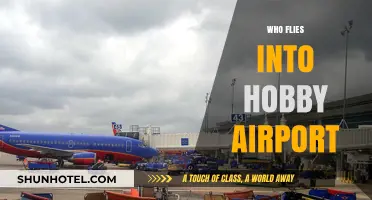 Who Flies into Hobby Airport? Airlines, Destinations, and Passenger Insights