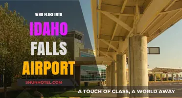 Discovering Airlines and Travelers at Idaho Falls Regional Airport