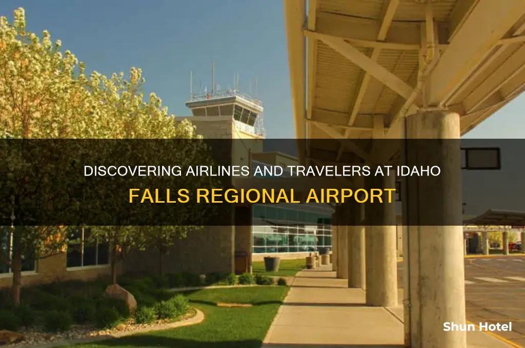 who flies into idaho falls airport