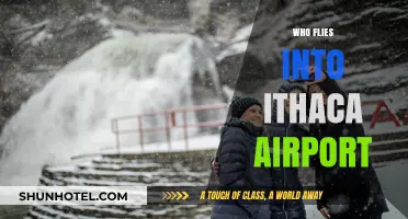 Discovering Ithaca Airport's Visitors: Who Flies In and Why