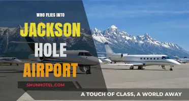 Discovering Jackson Hole: Who Flies into Its Airport?