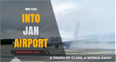 Discovering Airlines and Destinations Served by Jan Airport
