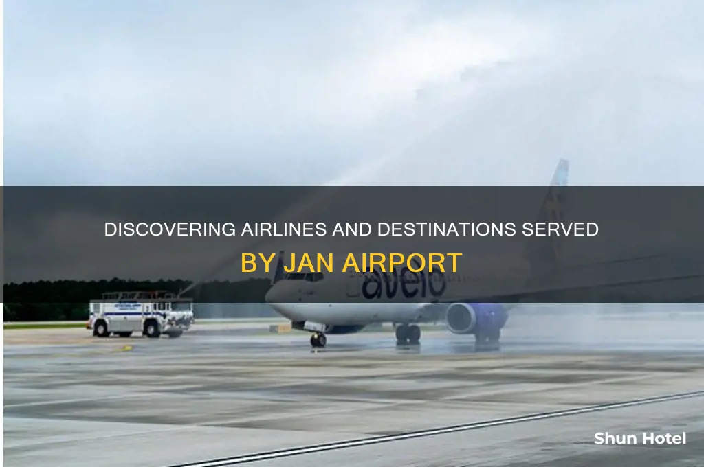 who flies into jan airport