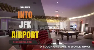 Who Flies into JFK Airport? Exploring Airlines and Passenger Trends
