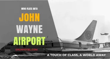 Who Flies into John Wayne Airport? A Passenger Guide