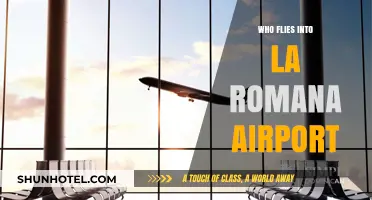 Discovering La Romana Airport: Airlines and Travelers Flying In