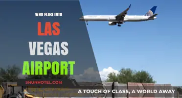 Who Flies into Las Vegas Airport: Top Airlines and Routes