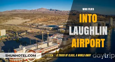 Who Flies into Laughlin Airport? Exploring Visitors and Airlines