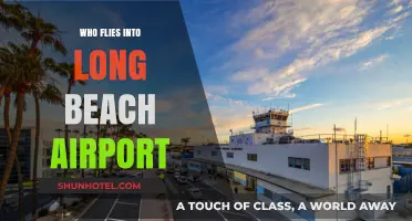 Discovering Airlines and Travelers Using Long Beach Airport Daily