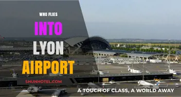 Discover Airlines and Travelers Heading to Lyon Airport