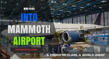 Discovering Mammoth Airport's Visitors: Who Flies In and Why