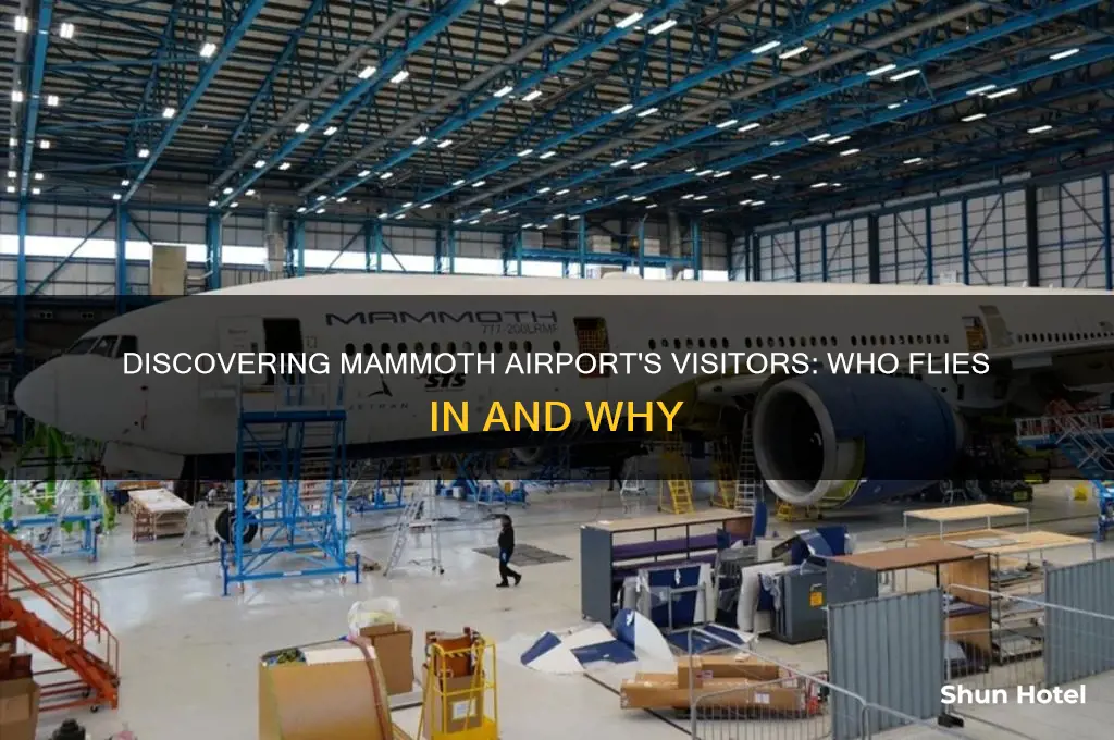 who flies into mammoth airport