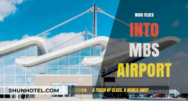 Discovering MBS Airport: Airlines and Travelers Flying In Daily