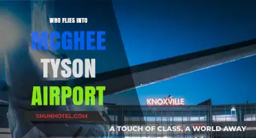 Who Flies into McGhee Tyson Airport? A Comprehensive Guide