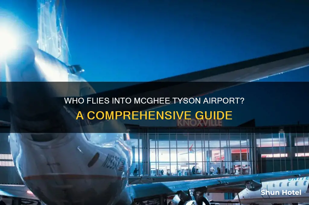 who flies into mcghee tyson airport