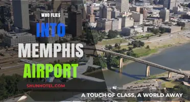 Who Flies into Memphis Airport? Airlines, Routes, and Passenger Insights
