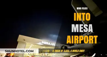 Who Flies into Mesa Airport? Exploring Airlines and Destinations