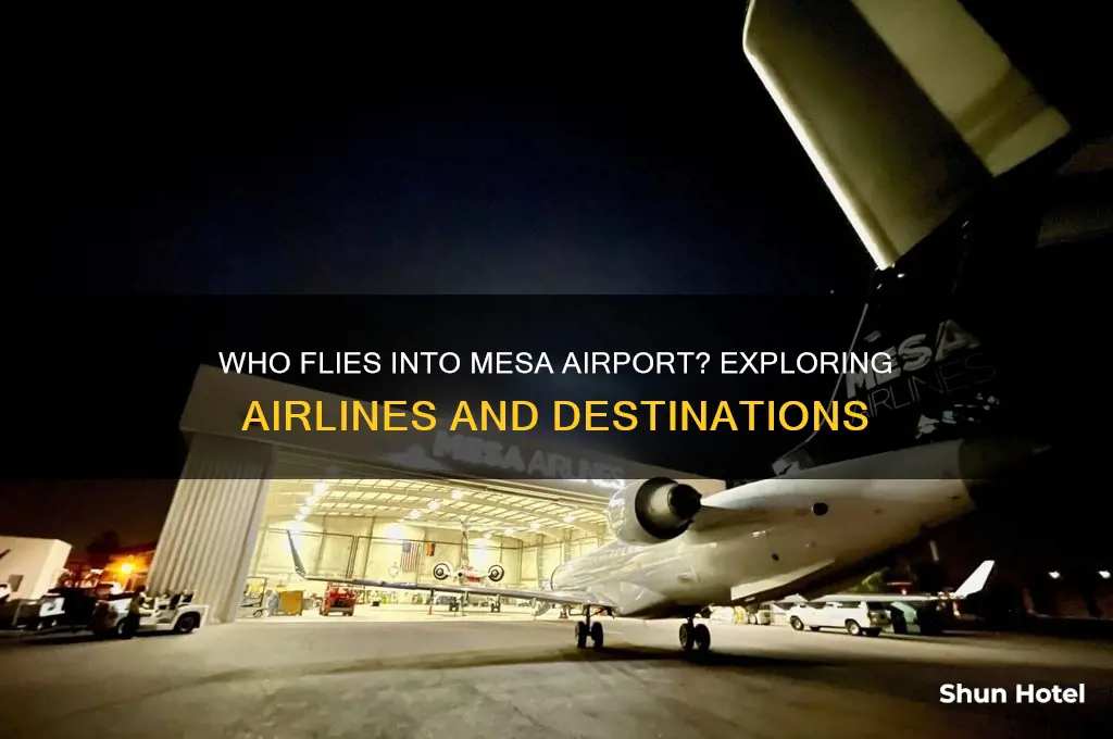 who flies into mesa airport