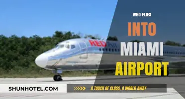 Discovering Airlines and Travelers Landing at Miami International Airport