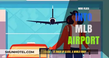 Who Uses MLB Airport? Uncovering the Travelers and Flights