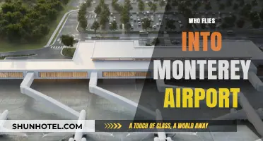 Discovering Airlines and Passengers Flying into Monterey Airport