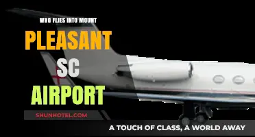 Discovering Airlines Serving Mount Pleasant SC Airport: A Comprehensive Guide