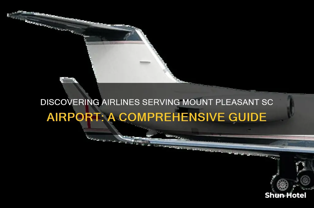 who flies into mount pleasant sc airport
