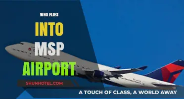 Discovering Airlines and Passengers Flying into MSP Airport Daily