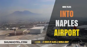 Who Flies into Naples Airport? Travelers, Airlines, and Destinations
