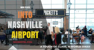 Discovering Airlines and Travelers Using Nashville International Airport