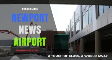 Discovering Airlines and Travelers Using Newport News Airport