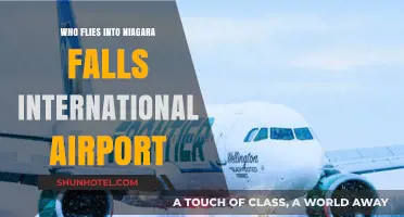 Who Uses Niagara Falls International Airport? Travelers and Airlines Revealed
