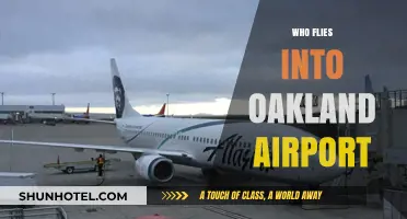 Who Flies into Oakland Airport? Airlines and Destinations Explained