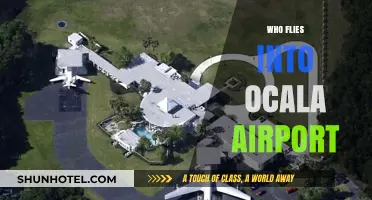 Discovering Ocala Airport's Visitors: Who Flies In Regularly?
