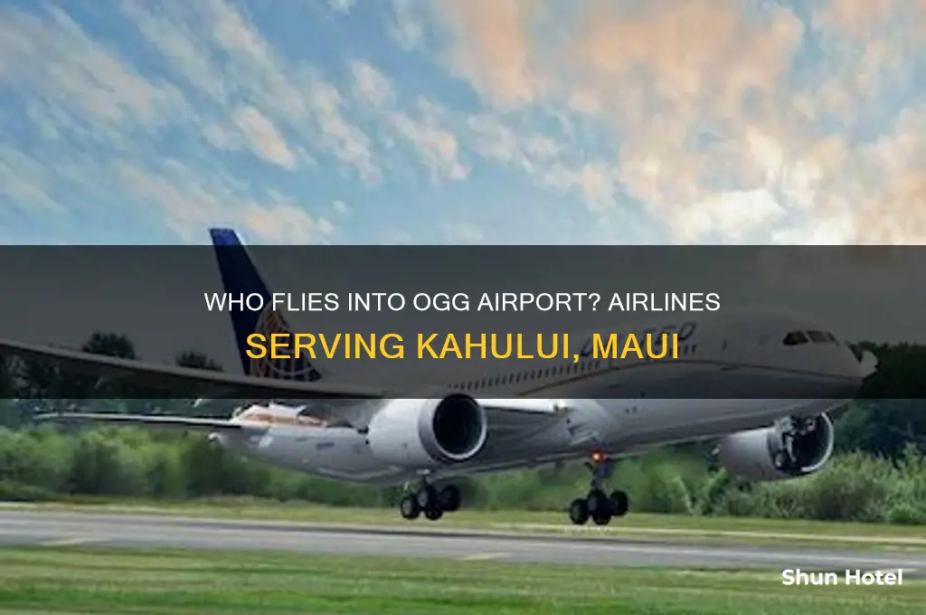 who flies into ogg airport