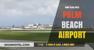 Discovering Airlines and Travelers at Palm Beach International Airport