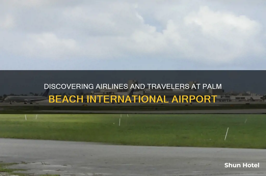 who flies into palm beach airport