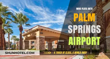 Who Flies into Palm Springs Airport? Travelers, Celebs, and More