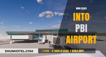 Discovering Airlines and Travelers Using PBI Airport in Florida