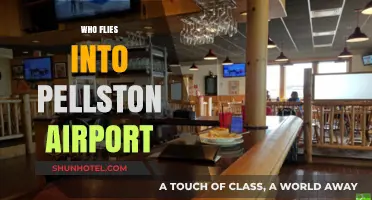 Who Flies into Pellston Airport? Travelers, Locals, and More Explained