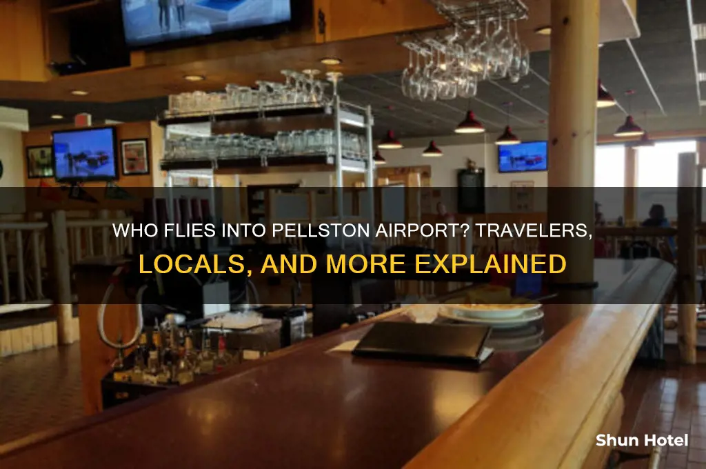 who flies into pellston airport