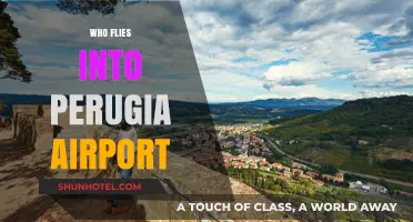 Discovering Perugia Airport: Airlines and Travelers Flying into Umbria