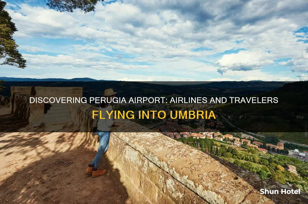 who flies into perugia airport