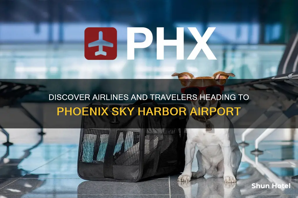 who flies into phoenix airport