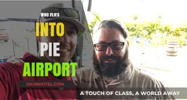 Who Flies into PIE Airport? Exploring St. Pete-Clearwater's Visitors