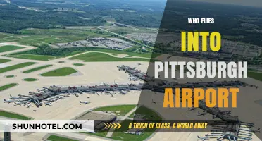 Who Flies into Pittsburgh Airport? Airlines, Routes, and Passenger Insights