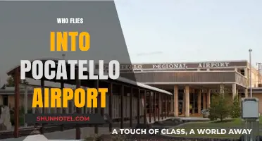 Discovering Airlines and Travelers Using Pocatello Regional Airport