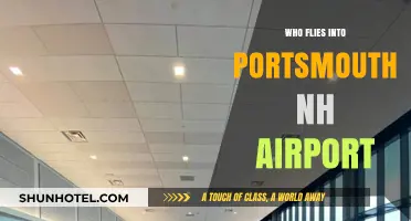 Discovering Airlines and Travelers Using Portsmouth NH Airport
