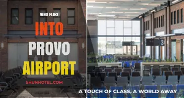 Who Flies into Provo Airport? Exploring Passenger Types and Airlines
